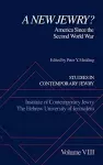 Studies in Contemporary Jewry: VIII: A New Jewry? cover