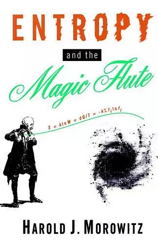 Entropy and the Magic Flute cover