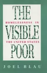 The Visible Poor cover