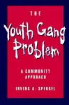 The Youth Gang Problem cover