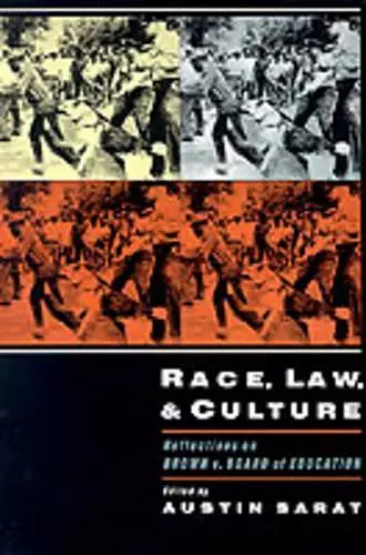 Race, Law, and Culture cover