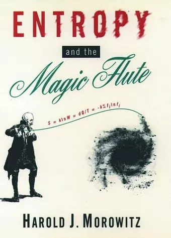 Entropy and the Magic Flute cover