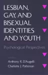 Lesbian, Gay, and Bisexual Identities and Youth cover