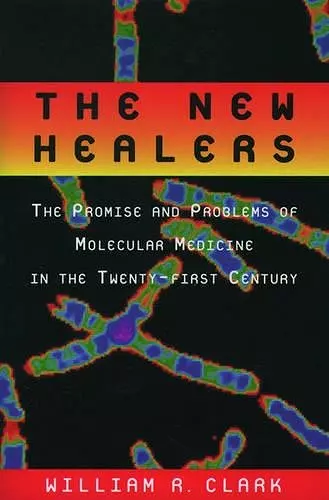 The New Healers cover