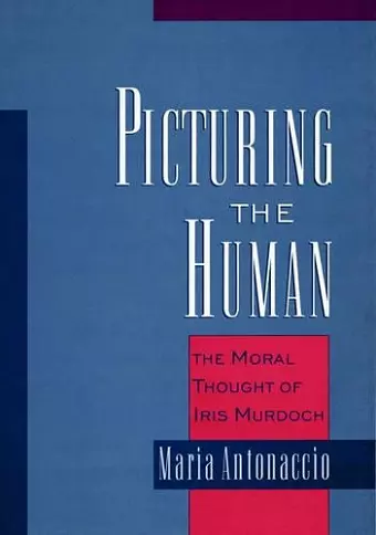 Picturing the Human cover