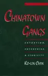 Chinatown Gangs cover