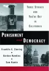 Punishment and Democracy cover