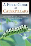 Caterpillars in the Field and Garden cover