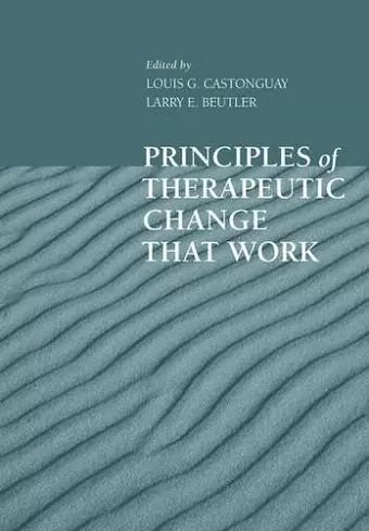 Principles of Therapeutic Change That Work cover