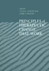 Principles of Therapeutic Change That Work cover