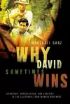 Why David Sometimes Wins cover