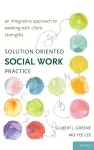 Solution-Oriented Social Work Practice cover