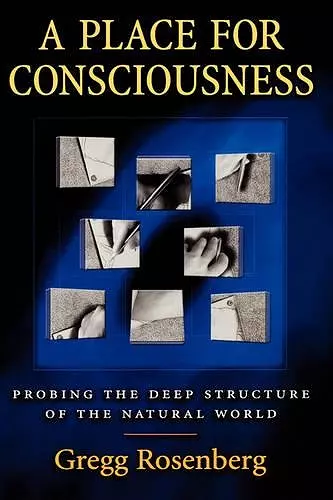 A Place for Consciousness cover