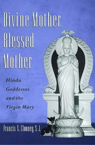 Divine Mother, Blessed Mother cover