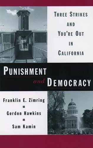 Punishment and Democracy cover