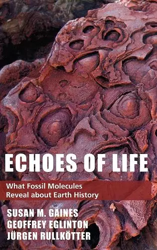 Echoes of Life cover