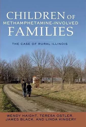 Children of Methamphetamine-Involved Families cover