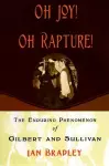 Oh Joy! Oh Rapture! cover