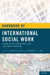 Handbook of International Social Work cover