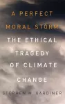 A Perfect Moral Storm cover