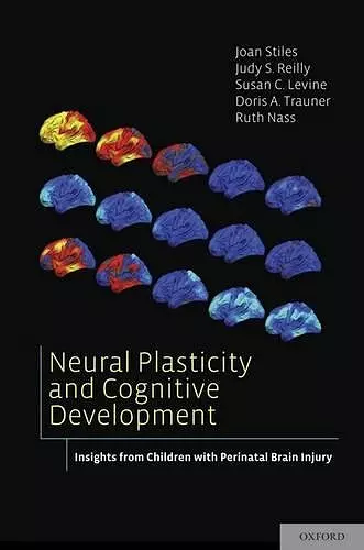 Neural Plasticity and Cognitive Development cover