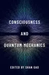 Consciousness and Quantum Mechanics cover