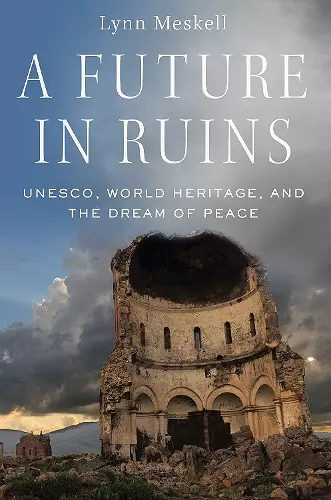 A Future in Ruins cover