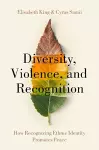 Diversity, Violence, and Recognition cover