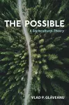 The Possible cover