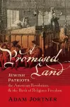 A Promised Land cover