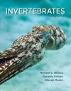 Invertebrates cover