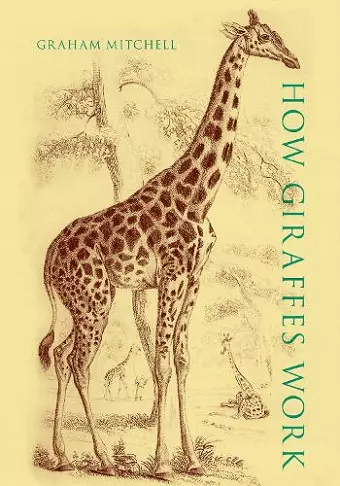 How Giraffes Work cover