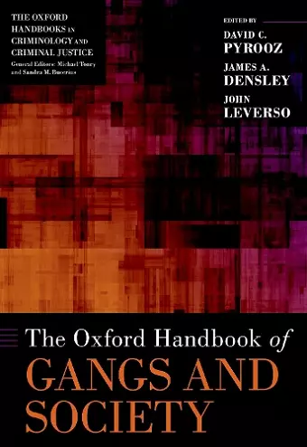 The Oxford Handbook of Gangs and Society cover