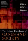 The Oxford Handbook of Gangs and Society cover