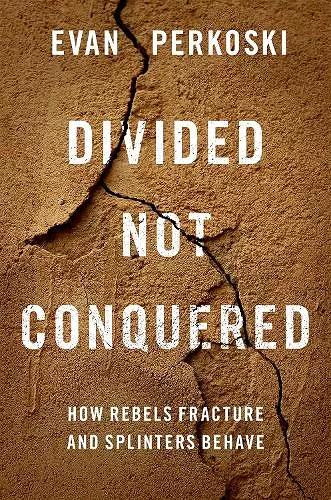 Divided Not Conquered cover