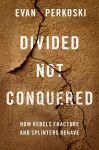 Divided Not Conquered cover