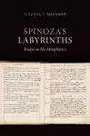 Spinoza's Labyrinths cover