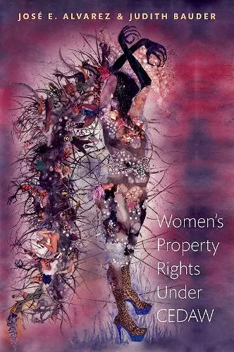 Women's Property Rights Under CEDAW cover