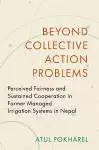 Beyond Collective Action Problems cover