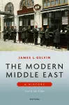 The Modern Middle East 6e cover