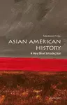 Asian American History cover