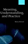 Meaning, Understanding, and Practice cover