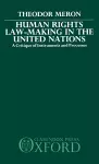 Human Rights Law-Making in the United Nations cover