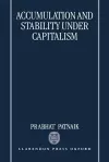 Accumulation and Stability under Capitalism cover