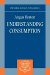 Understanding Consumption cover