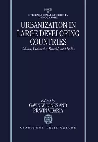 Urbanization in Large Developing Countries cover