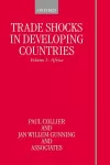 Trade Shocks in Developing Countries: Volume I: Africa cover