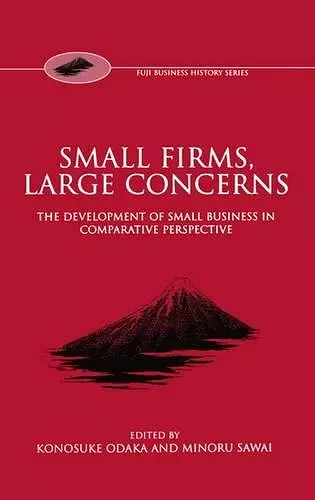 Small Firms, Large Concerns cover