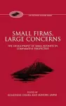 Small Firms, Large Concerns cover