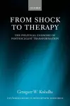 From Shock to Therapy cover